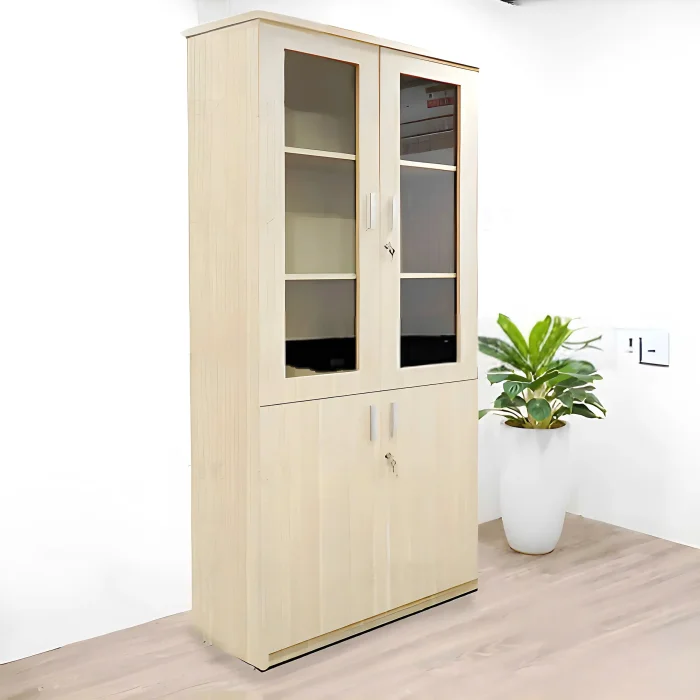 Tủ Văn Phòng 2 Cánh Tiện Lợi - THS248